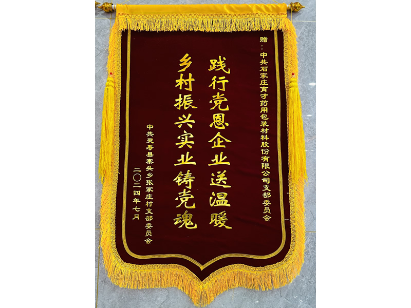 錦旗（張家莊支部委員會(huì)）