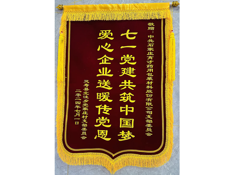 錦旗（黨家莊村支部委員會(huì)）